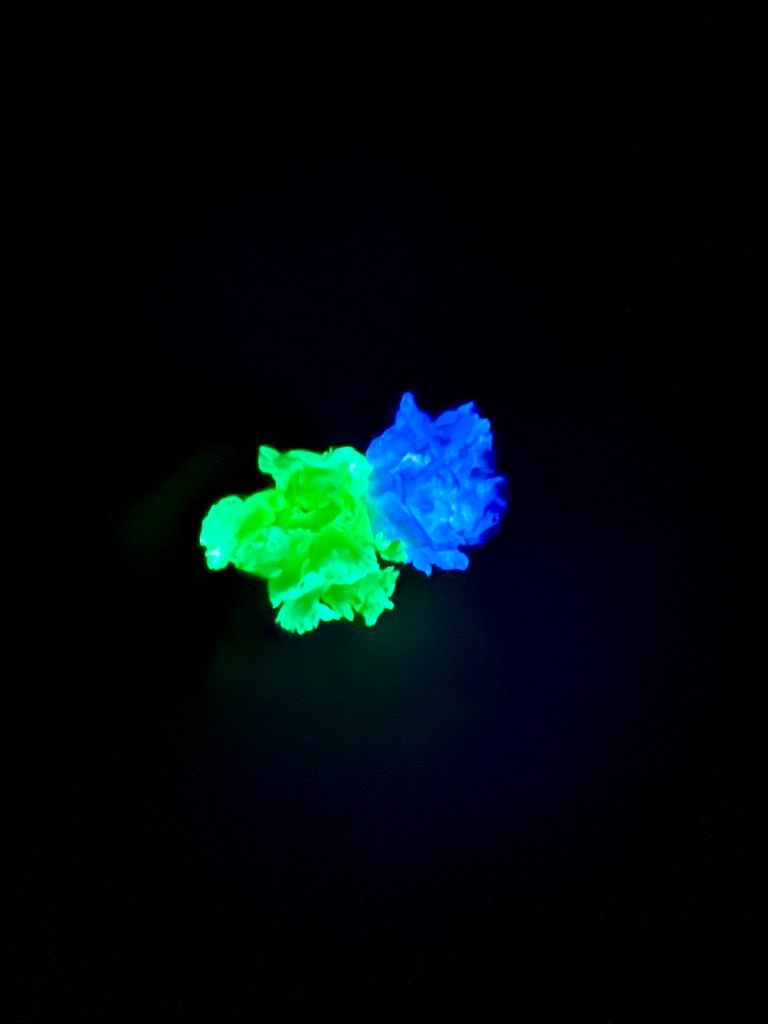 Blue Autoluminescent Flower